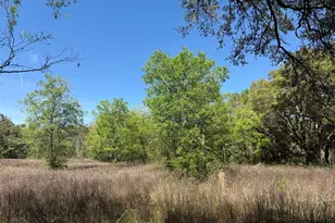 650 NE 200th Ave, Williston, FL 32696 - Photo 26