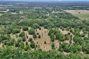650 NE 200th Ave, Williston, FL 32696 - Photo 16