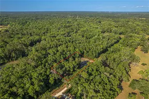 13755 SW 15th Pl, Ocala, FL 34481 - Photo 60