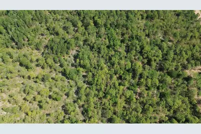 S Apopka Vineland Road, Orlando, FL 32821 - Photo 6