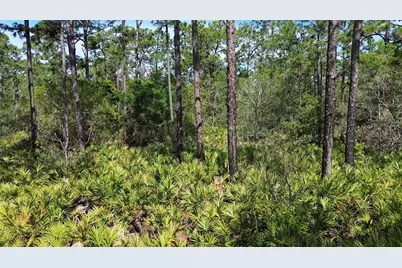 S Apopka Vineland Road, Orlando, FL 32821 - Photo 2