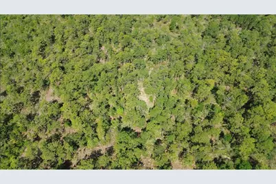 S Apopka Vineland Road, Orlando, FL 32821 - Photo 4
