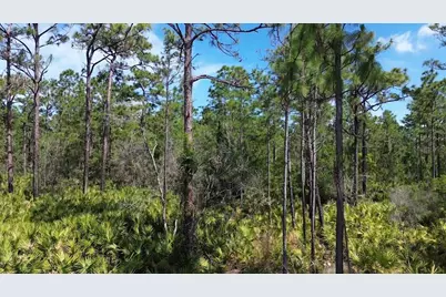 S Apopka Vineland Road, Orlando, FL 32821 - Photo 8