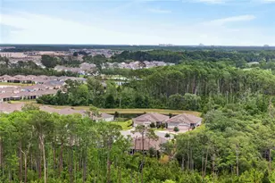 3424 Twin Flower Ct, Clermont, FL 34714 - Photo 38