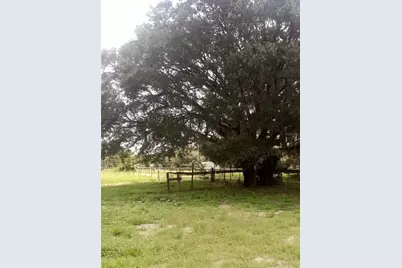 17936 SE 95th Street Road, Ocklawaha, FL 32179 - Photo 6