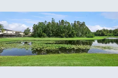 10227 Sandy Marsh Lane, Orlando, FL 32832 - Photo 72