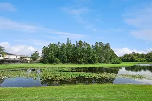 10227 Sandy Marsh Ln, Orlando, FL 32832 - Photo 72