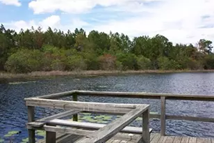 6735 Sylvan Woods Dr, Sanford, FL 32771 - Photo 40
