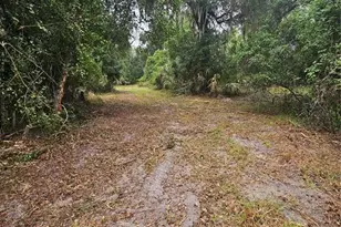0 Culver Way, Geneva, FL 32732 - Photo 8