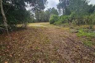 00 Culver Way, Geneva, FL 32732 - Photo 8