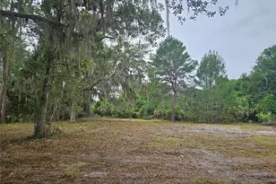000 Culver Way, Geneva, FL 32732 - Photo 1