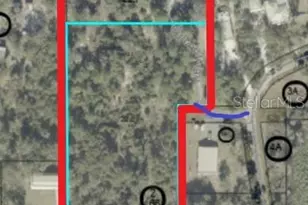 0000 Culver Way, Geneva, FL 32732 - Photo 2