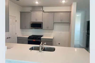 27329 African Fish Court, Howey in the Hills, FL 34737 - Photo 2