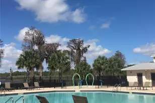 11807 Vermillion Ave, Windermere, FL 34786 - Photo 20