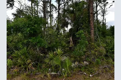 Geloso Avenue, North Port, FL 34288 - Photo 1