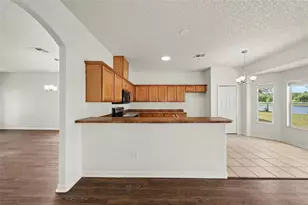 2512 Holly Pine Cir, Orlando, FL 32820 - Photo 16