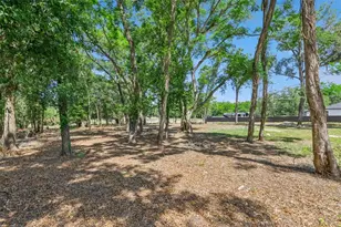 3932 White Heron Dr, Orlando, FL 32808 - Photo 14
