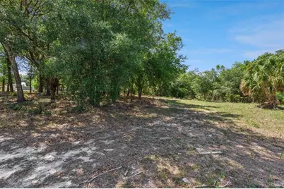 3932 White Heron Drive, Orlando, FL 32808 - Photo 12