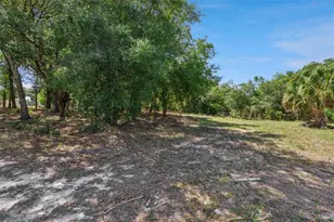 3932 White Heron Dr, Orlando, FL 32808 - Photo 12