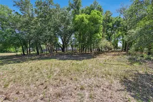 3932 White Heron Dr, Orlando, FL 32808 - Photo 18