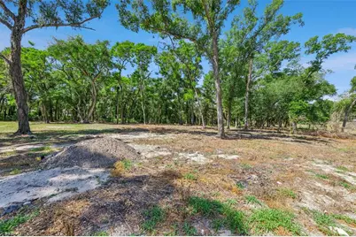 3932 White Heron Drive, Orlando, FL 32808 - Photo 12