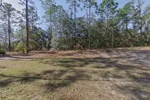 10872 N Frantz Ave, Citrus Springs, FL 34434 - Photo 16