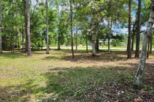 1450 Almond St, Bunnell, FL 32110 - Photo 54