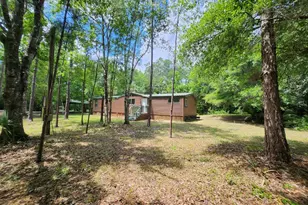1450 Almond St, Bunnell, FL 32110 - Photo 6
