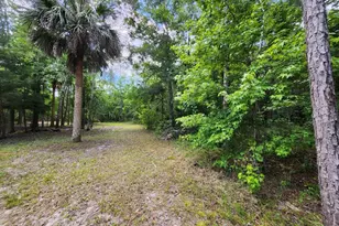 1450 Almond St, Bunnell, FL 32110 - Photo 52