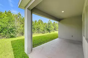 10066 Lovegrass Ln, Orlando, FL 32832 - Photo 64