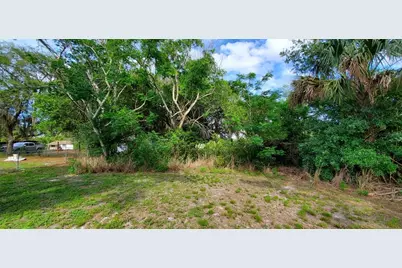 355 Chinaberry Avenue, Oviedo, FL 32765 - Photo 6