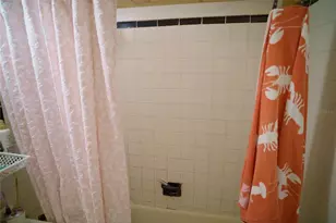 2119 S Ferncreek Ave, Orlando, FL 32806 - Photo 64