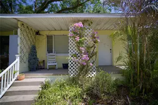 2119 S Ferncreek Ave, Orlando, FL 32806 - Photo 46