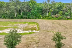 20029 Royal Tern Ct, Leesburg, FL 34748 - Photo 54