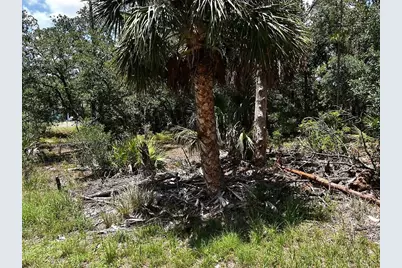 Hawksbill Avenue, North Port, FL 34291 - Photo 1