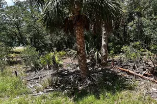Hawksbill Ave, North Port, FL 34291 - Photo 1