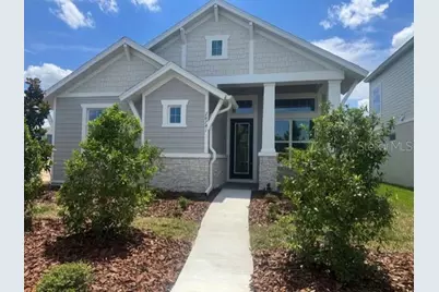 28741 Jujube Road, Wesley Chapel, FL 33543 - Photo 1