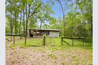 9986 S Forestline Avenue, Inverness, FL 34452 - Photo 4