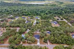 30076 Apricot Ave, Eustis, FL 32736 - Photo 4