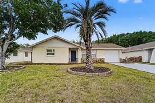 8332 Fishhawk Ave, New Port Richey, FL 34653 - Photo 1