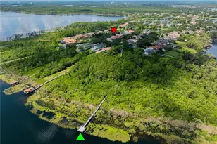 9222 Tibet Pointe Cir, Windermere, FL 34786 - Photo 98