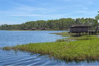 11617 Camden Park Drive, Windermere, FL 34786 - Photo 58