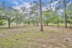 1717 W Kelly Park Rd, Apopka, FL 32712 - Photo 42
