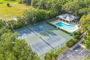 3404 River Woods Dr, Parrish, FL 34219 - Photo 48