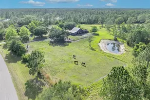 430 Cypress Isles Rd, Osteen, FL 32764 - Photo 42