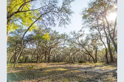 8600 NE 147th Avenue Road, Silver Springs, FL 34488 - Photo 8