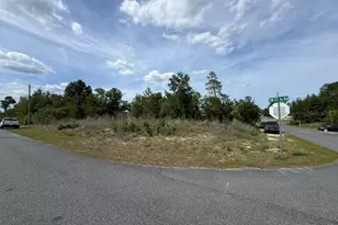 2455 SW 159th Ln, Ocala, FL 34473 - Photo 1