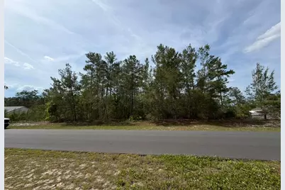 Tbd SW 41st Circle, Ocala, FL 34473 - Photo 1