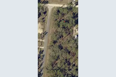 13700 SW 81st Street, Dunnellon, FL 34432 - Photo 1
