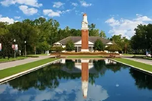 15532 Ave Of The Arbors, Winter Garden, FL 34787 - Photo 140